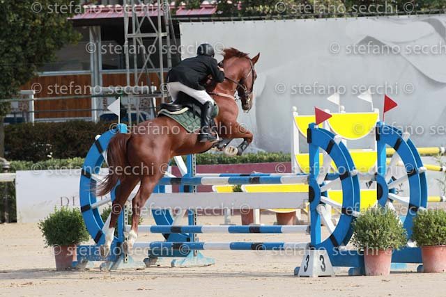 CONSUMATI_BRIEGEL_GIO CAV 2011_SS3_0565.jpg